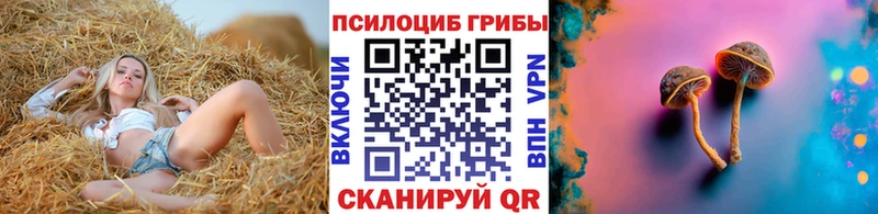 kraken зеркало  Шумиха  Галлюциногенные грибы Magic Shrooms 